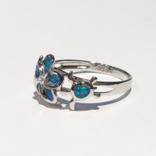 他の写真1: プルメリア＆ホヌリング（Blue opal)