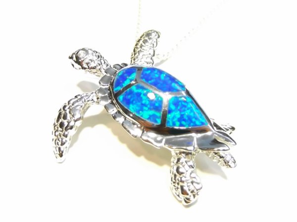 画像1: Turtle opal top ( Big size ) (1)